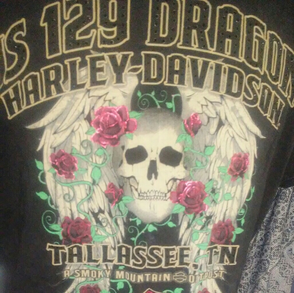 Harley Davidson Hwy. 129 Dragon Tee